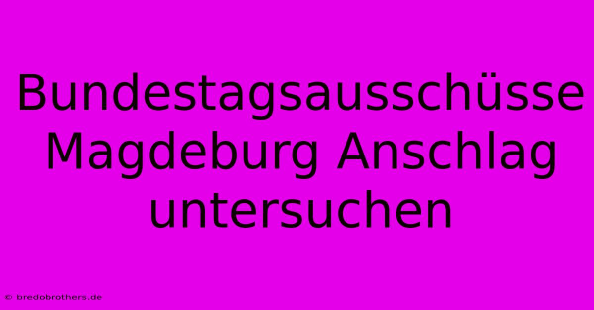 Bundestagsausschüsse Magdeburg Anschlag Untersuchen