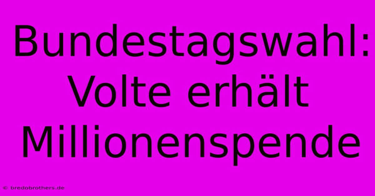 Bundestagswahl: Volte Erhält Millionenspende