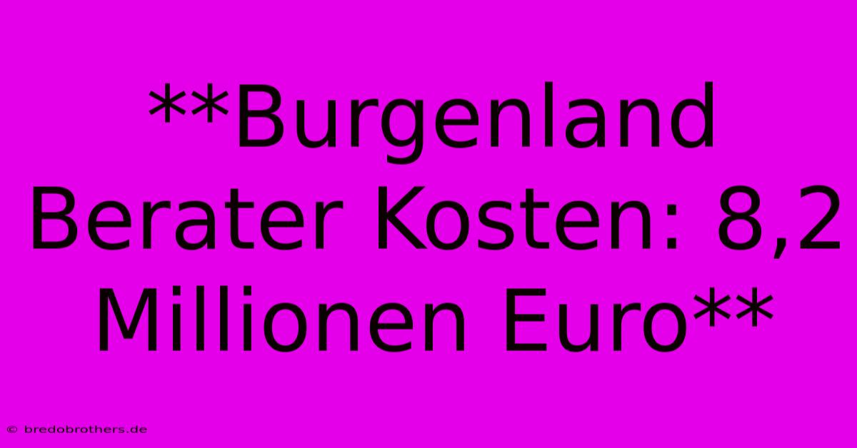 **Burgenland Berater Kosten: 8,2 Millionen Euro**