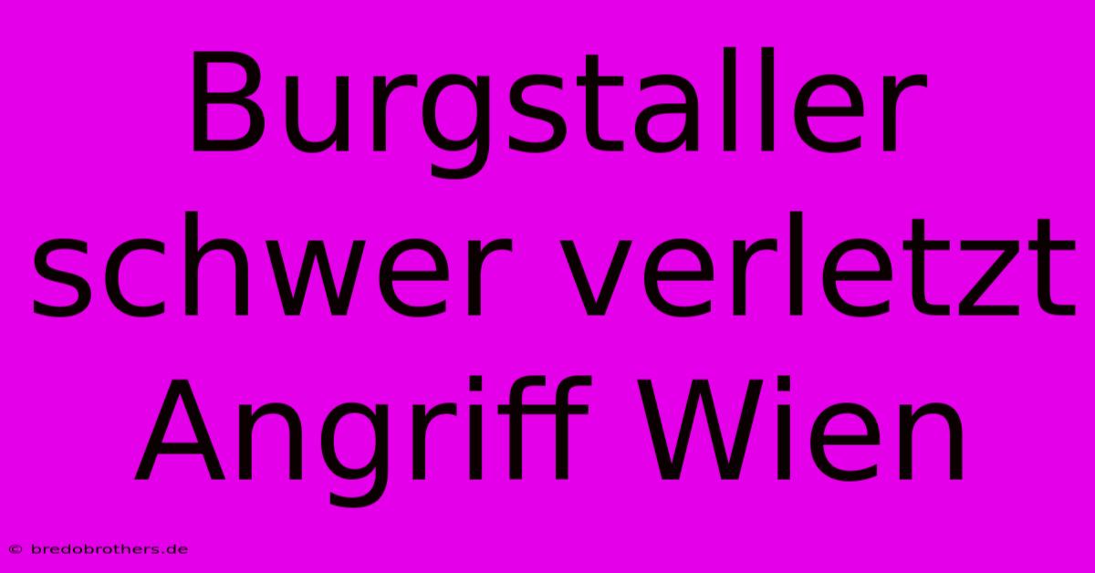 Burgstaller Schwer Verletzt Angriff Wien