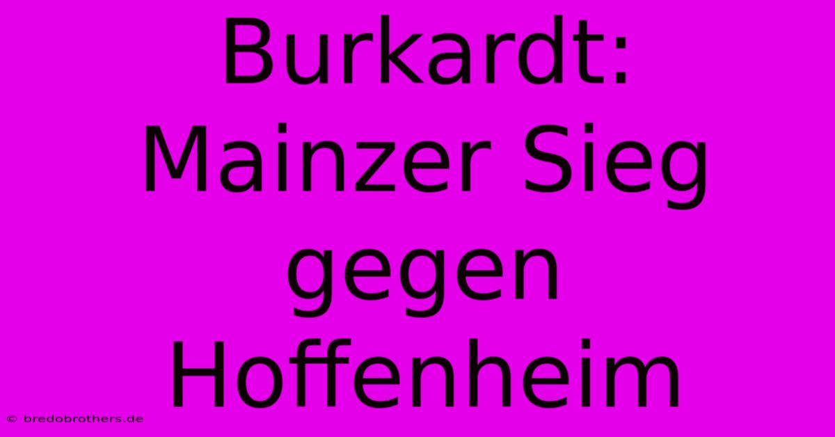 Burkardt: Mainzer Sieg Gegen Hoffenheim