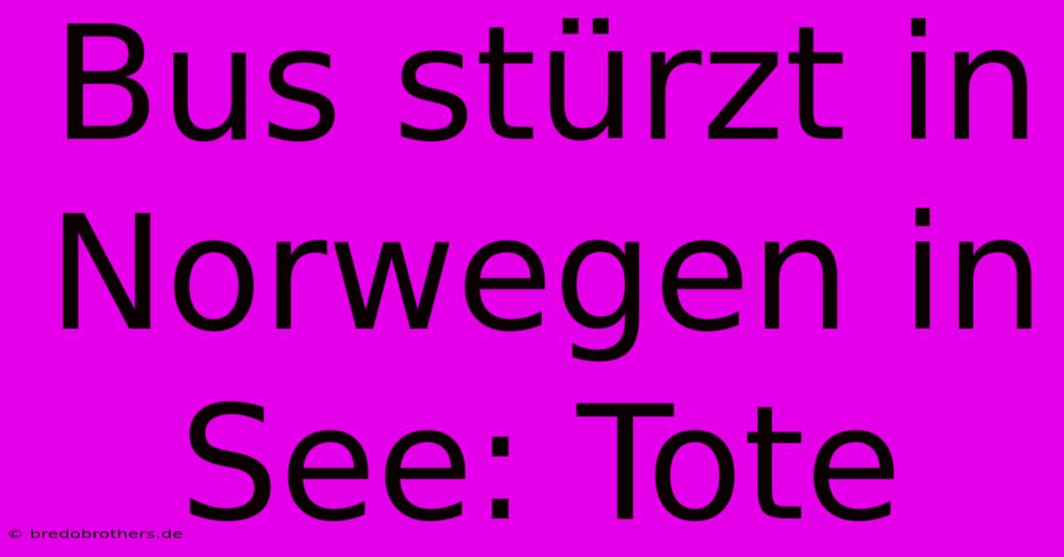 Bus Stürzt In Norwegen In See: Tote
