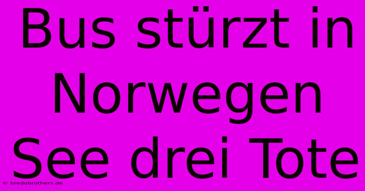 Bus Stürzt In Norwegen See Drei Tote