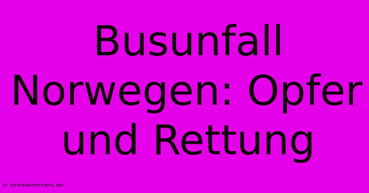 Busunfall Norwegen: Opfer Und Rettung