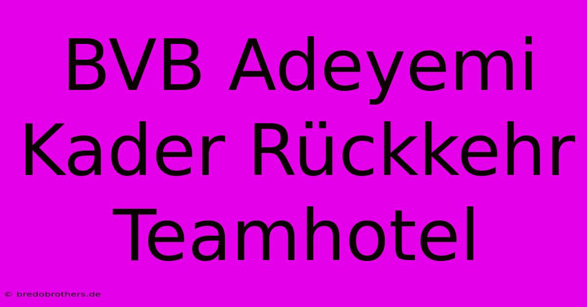 BVB Adeyemi Kader Rückkehr Teamhotel