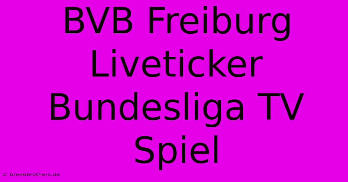 BVB Freiburg Liveticker Bundesliga TV Spiel