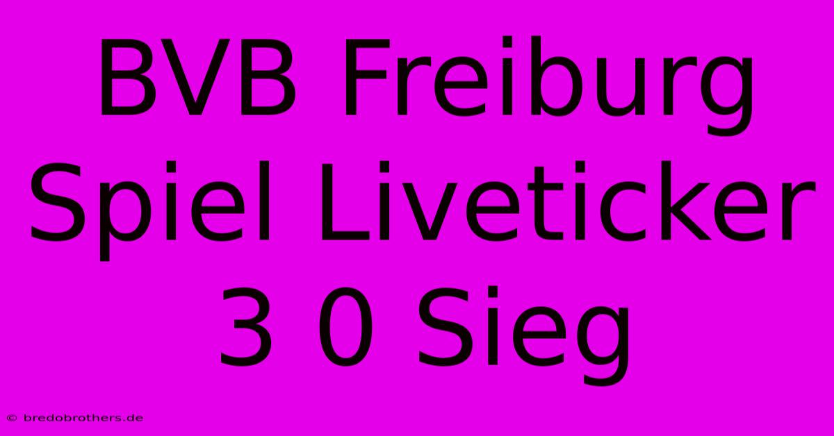 BVB Freiburg Spiel Liveticker 3 0 Sieg