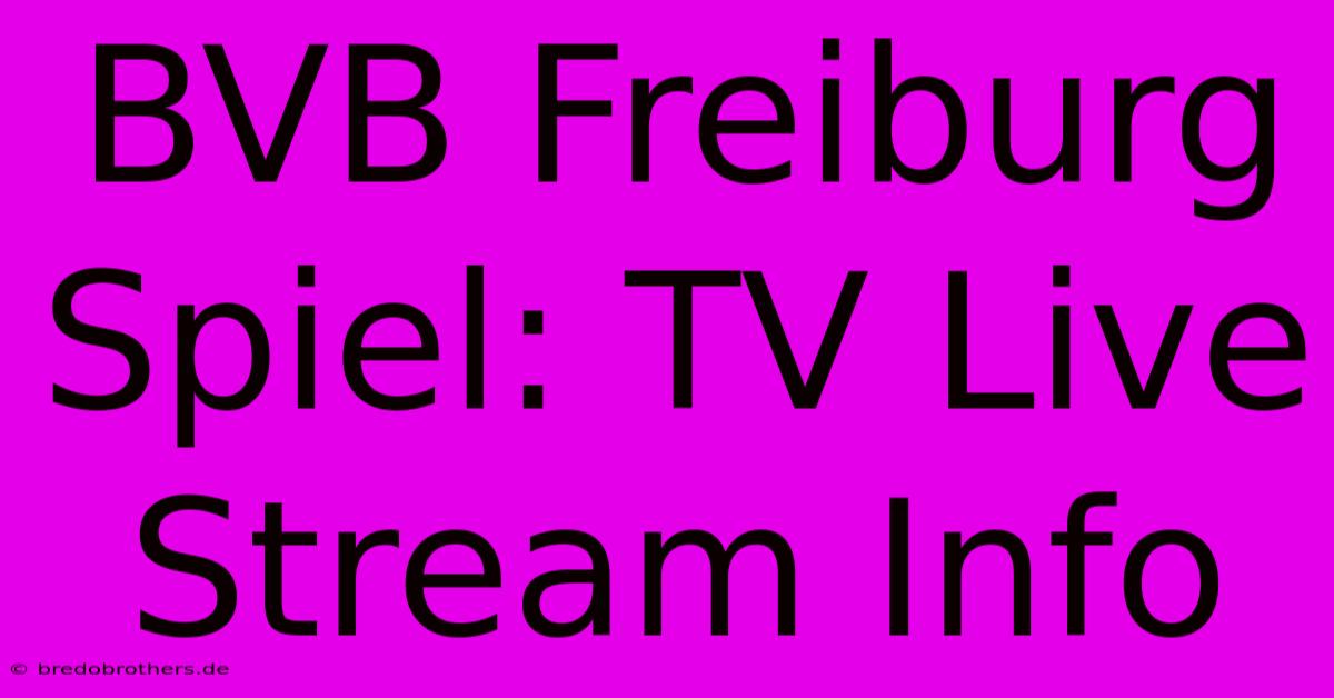 BVB Freiburg Spiel: TV Live Stream Info