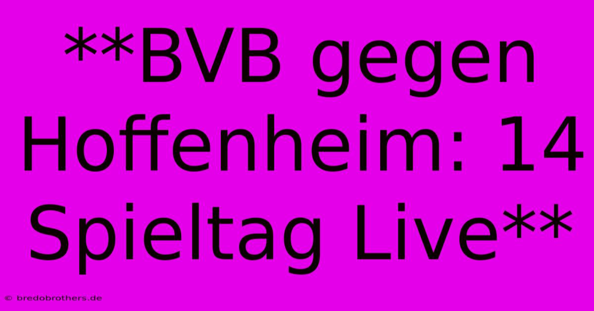 **BVB Gegen Hoffenheim: 14 Spieltag Live**