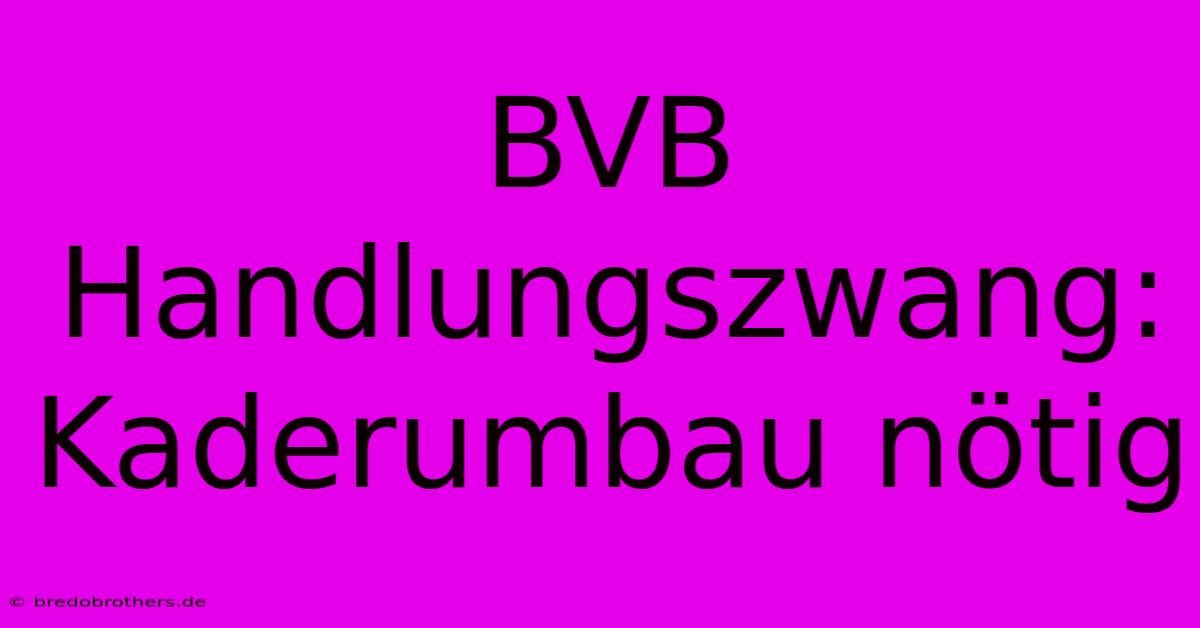 BVB Handlungszwang: Kaderumbau Nötig