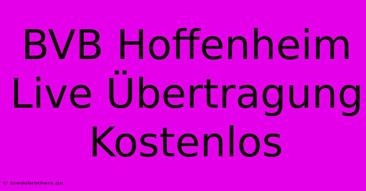 BVB Hoffenheim Live Übertragung Kostenlos