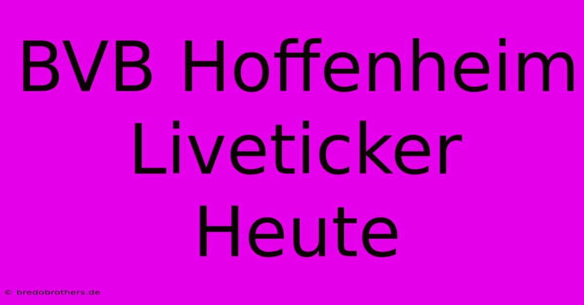 BVB Hoffenheim Liveticker Heute