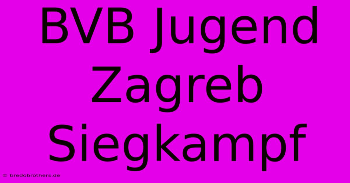 BVB Jugend Zagreb Siegkampf