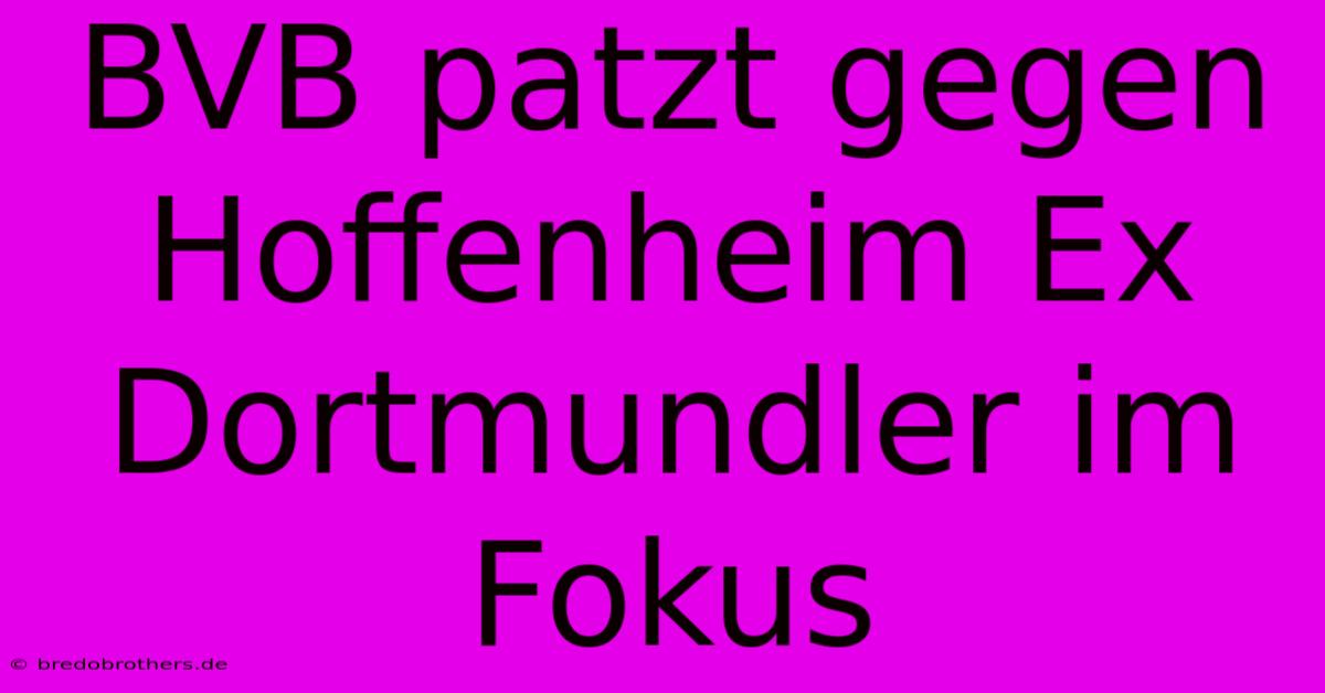 BVB Patzt Gegen Hoffenheim Ex Dortmundler Im Fokus