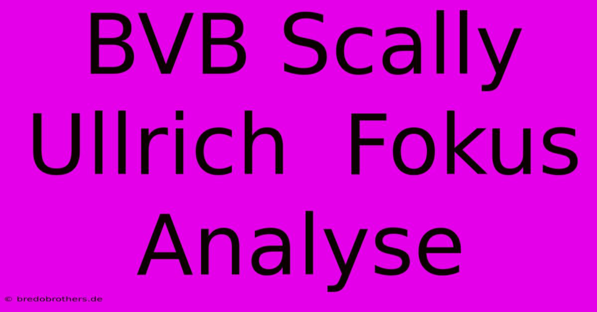 BVB Scally Ullrich  Fokus  Analyse