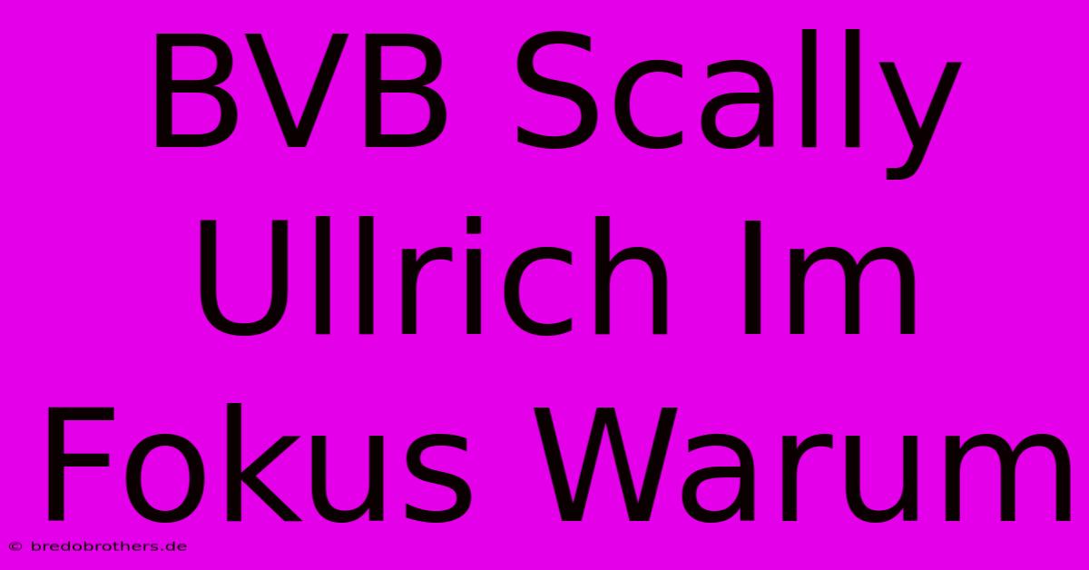 BVB Scally Ullrich Im Fokus Warum