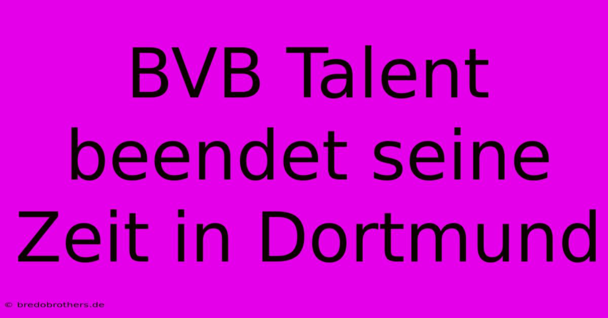 BVB Talent Beendet Seine Zeit In Dortmund