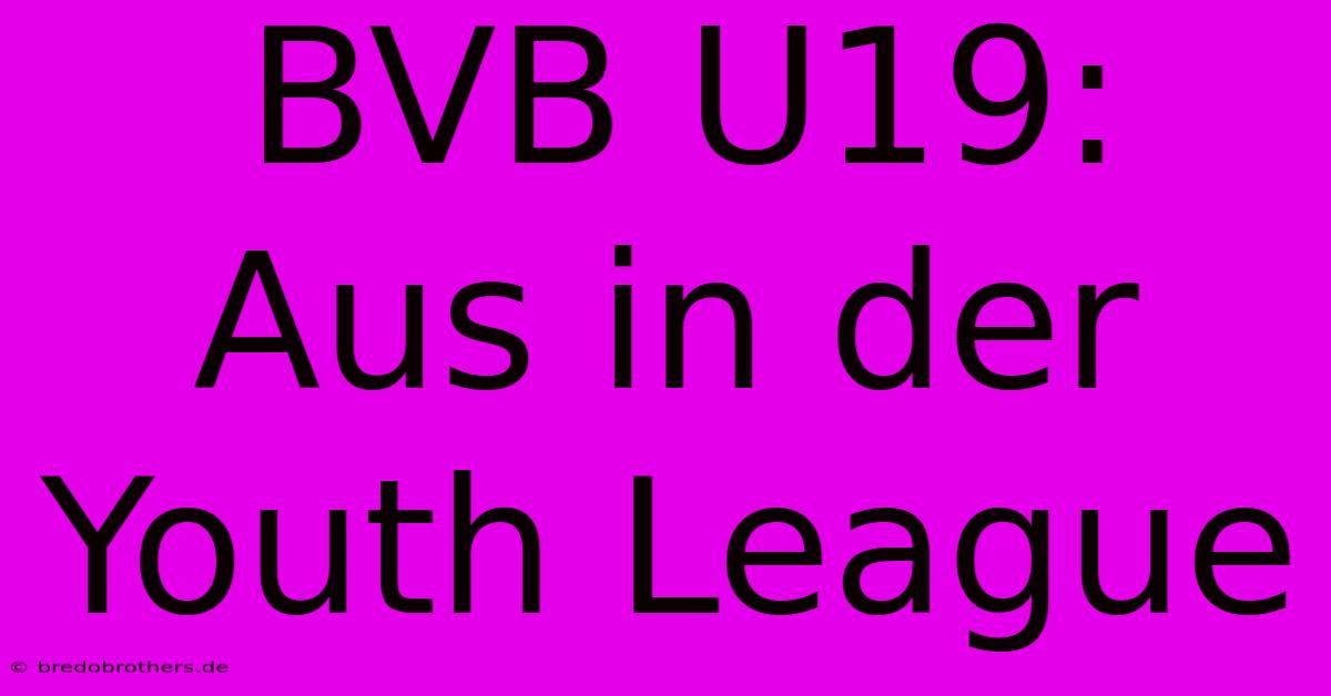 BVB U19:  Aus In Der Youth League