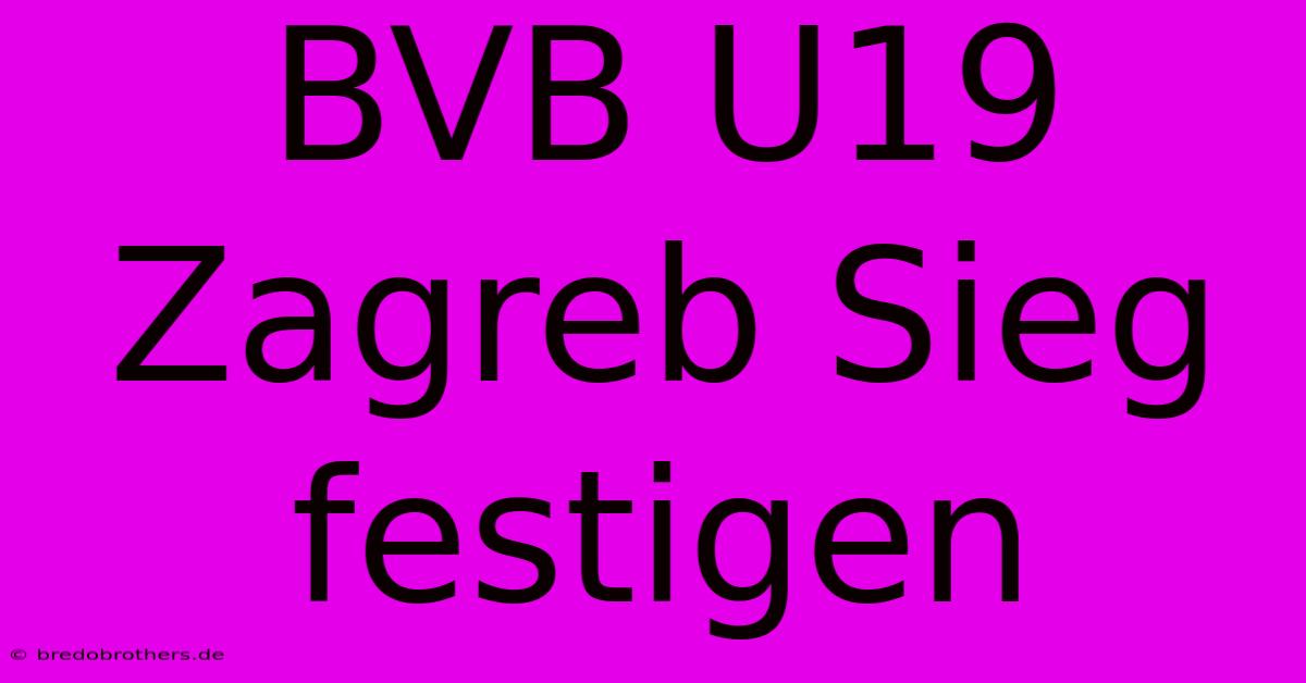 BVB U19 Zagreb Sieg Festigen