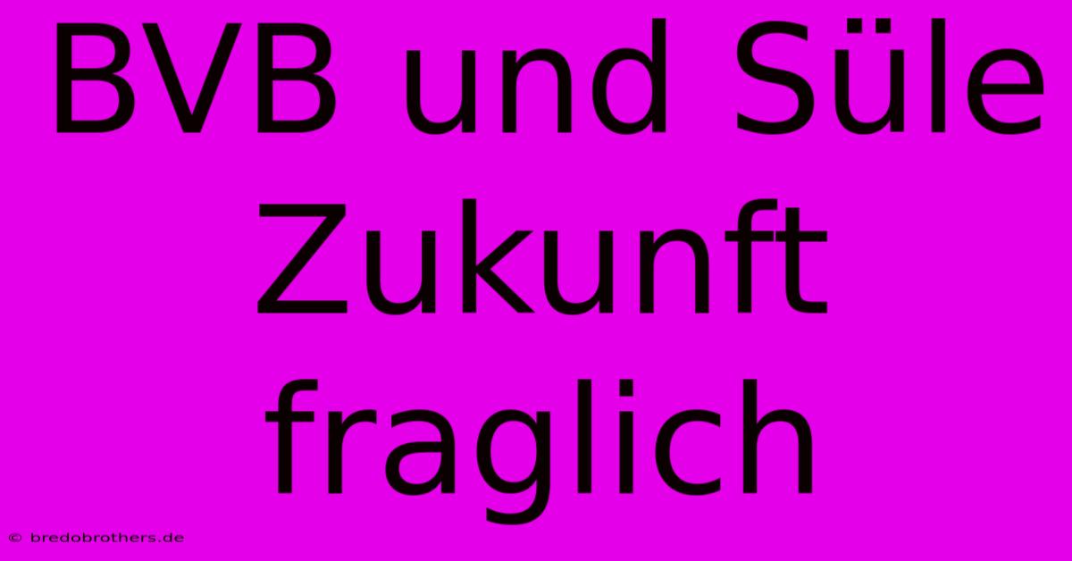 BVB Und Süle Zukunft Fraglich