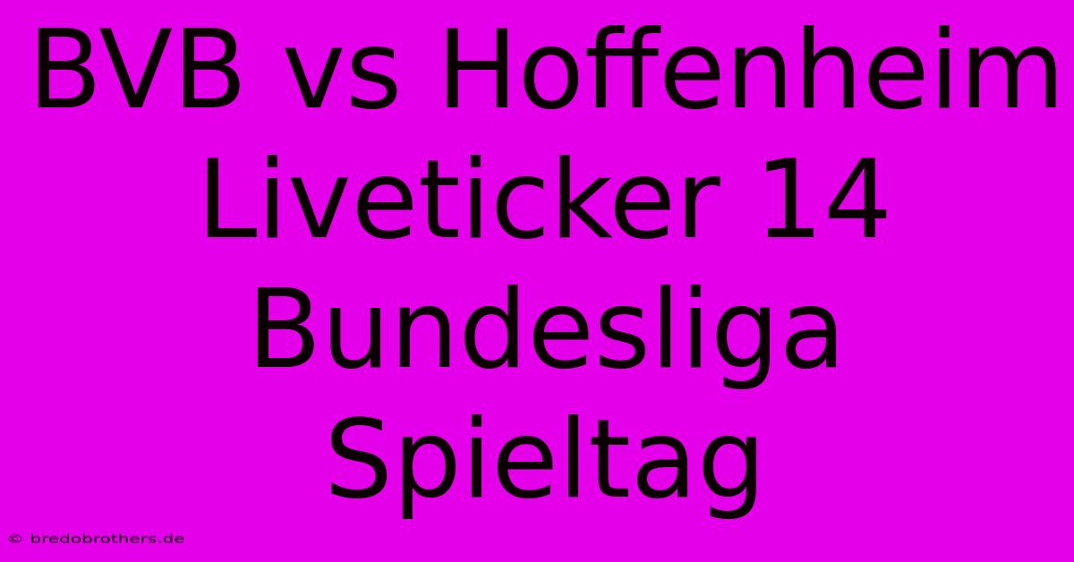 BVB Vs Hoffenheim Liveticker 14 Bundesliga Spieltag