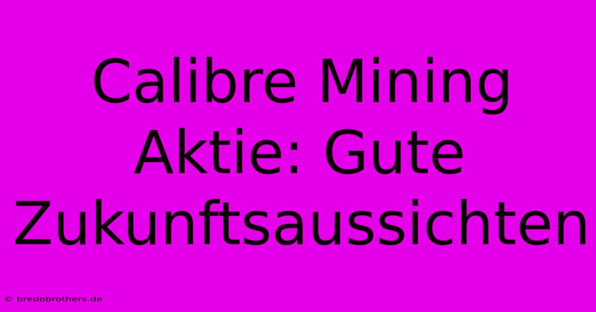 Calibre Mining Aktie: Gute Zukunftsaussichten