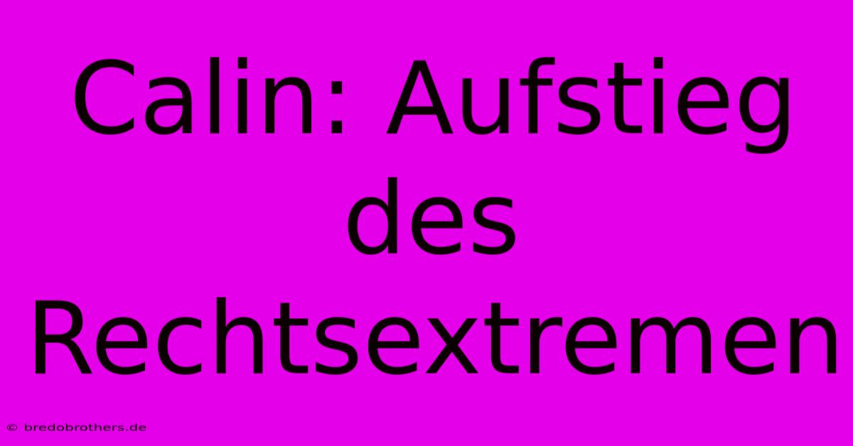 Calin: Aufstieg Des Rechtsextremen