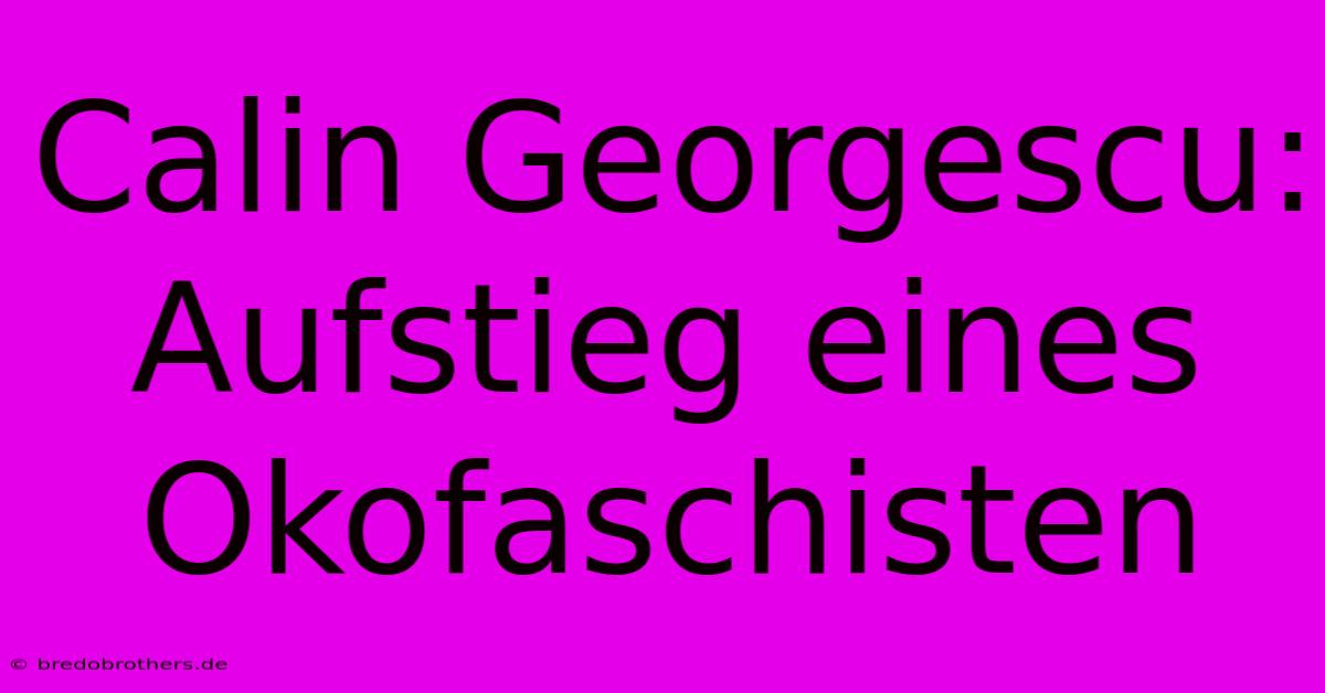 Calin Georgescu: Aufstieg Eines Okofaschisten