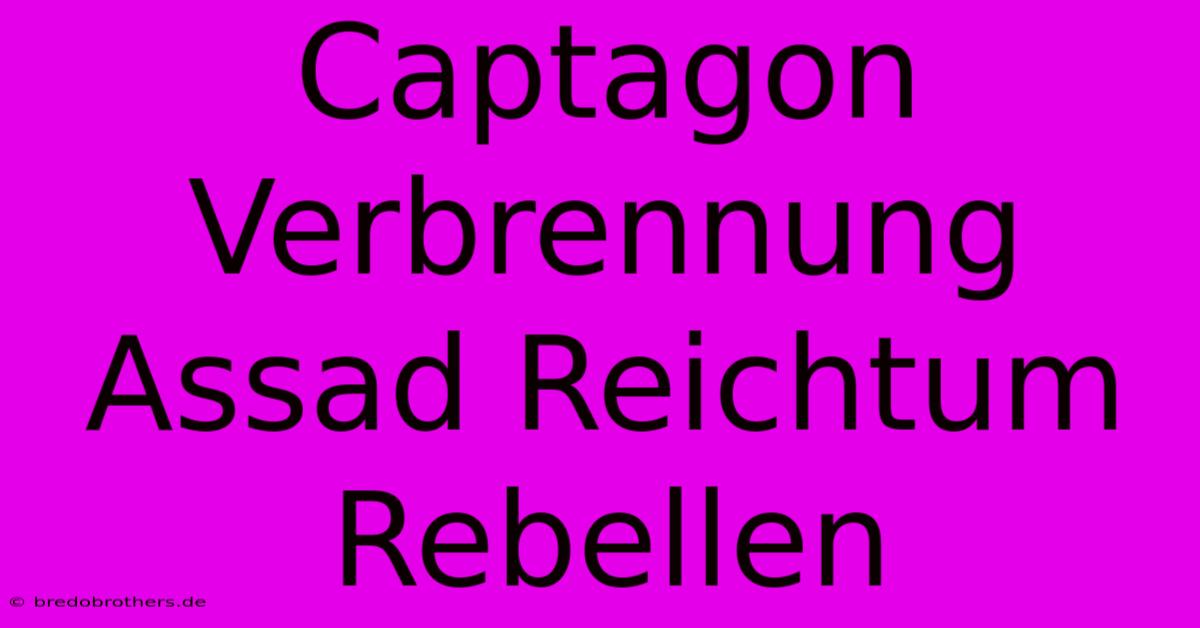 Captagon Verbrennung Assad Reichtum Rebellen