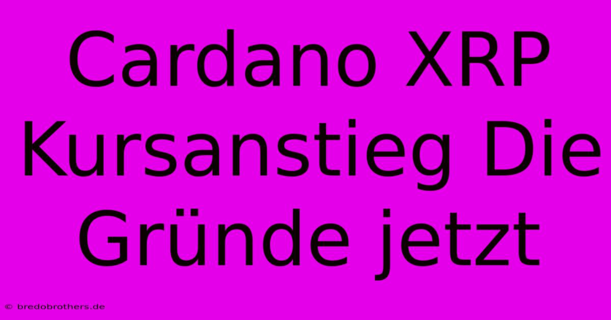 Cardano XRP Kursanstieg Die Gründe Jetzt