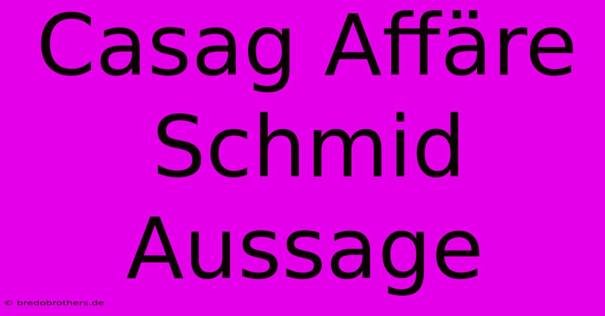 Casag Affäre Schmid Aussage