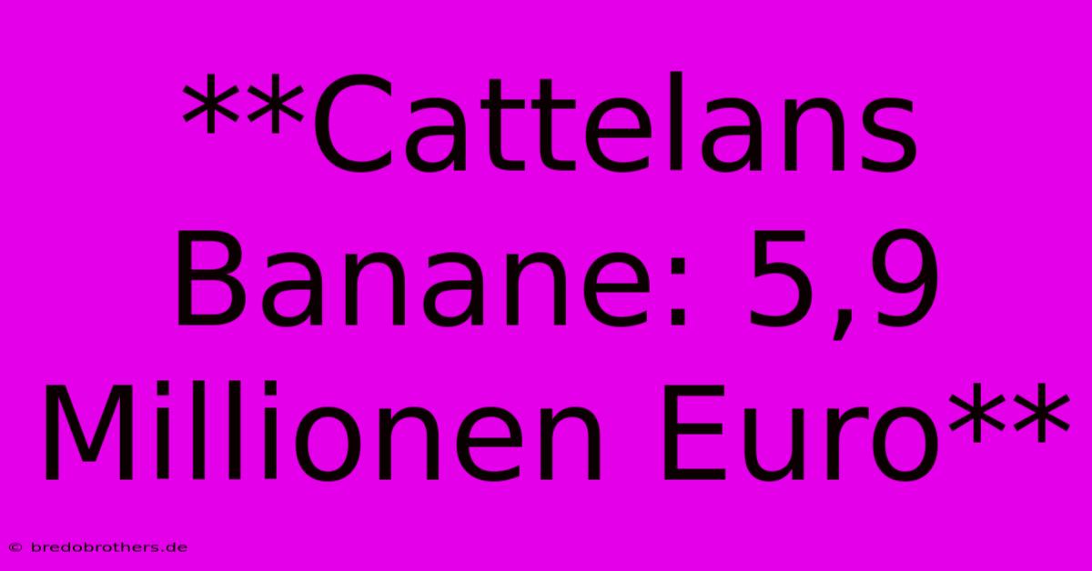 **Cattelans Banane: 5,9 Millionen Euro**