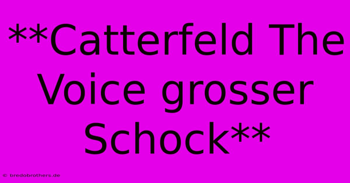 **Catterfeld The Voice Grosser Schock**