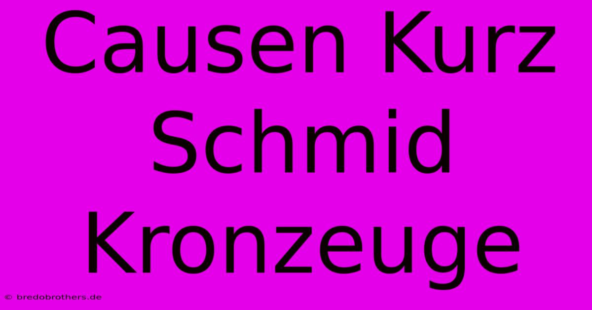 Causen Kurz Schmid Kronzeuge