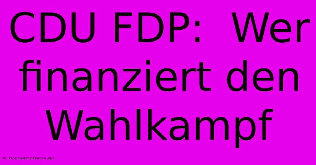 CDU FDP:  Wer Finanziert Den Wahlkampf