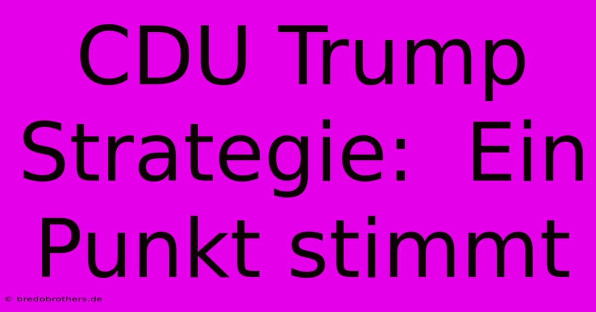 CDU Trump Strategie:  Ein Punkt Stimmt