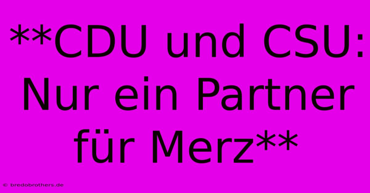 **CDU Und CSU: Nur Ein Partner Für Merz**