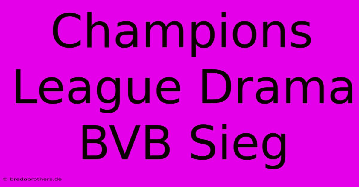 Champions League Drama BVB Sieg