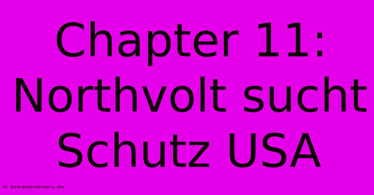 Chapter 11: Northvolt Sucht Schutz USA