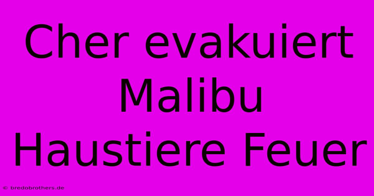 Cher Evakuiert Malibu Haustiere Feuer