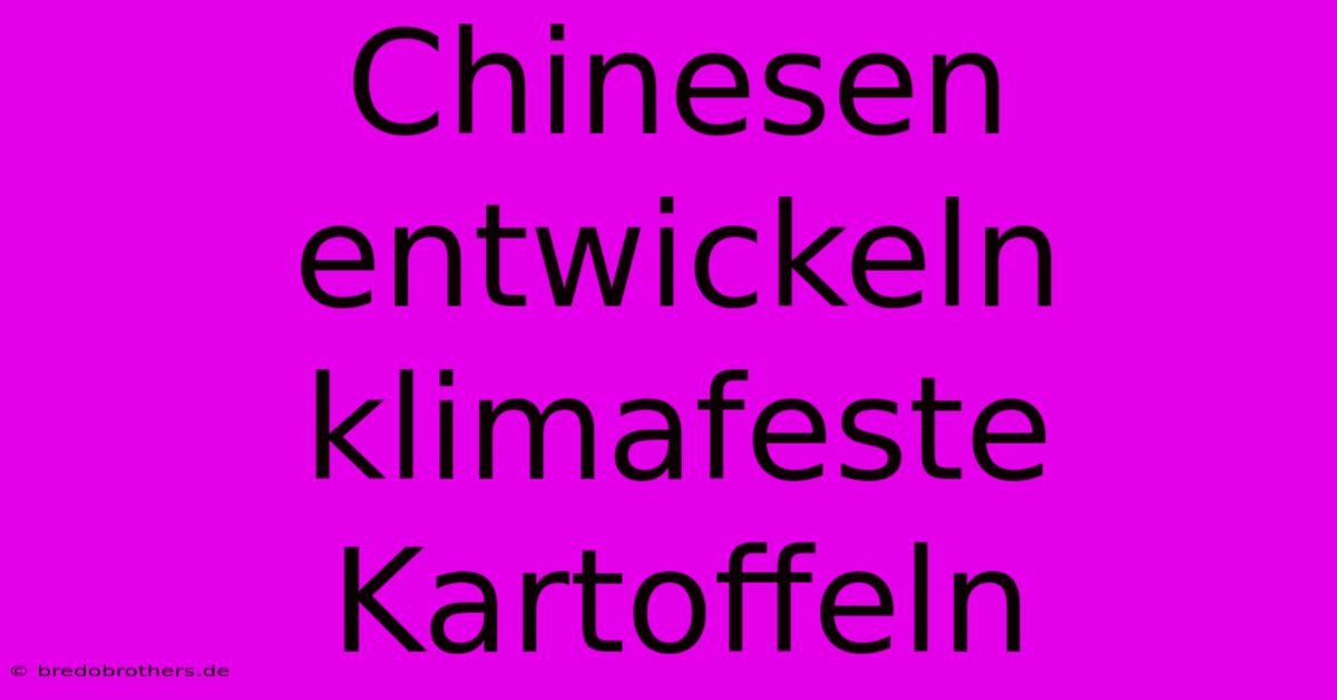 Chinesen Entwickeln Klimafeste Kartoffeln