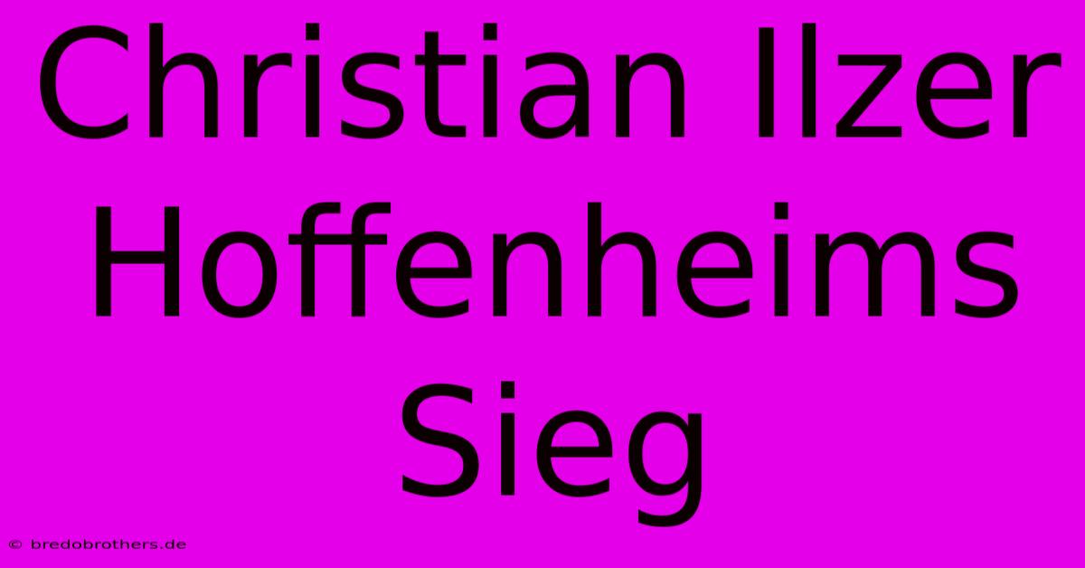 Christian Ilzer Hoffenheims Sieg