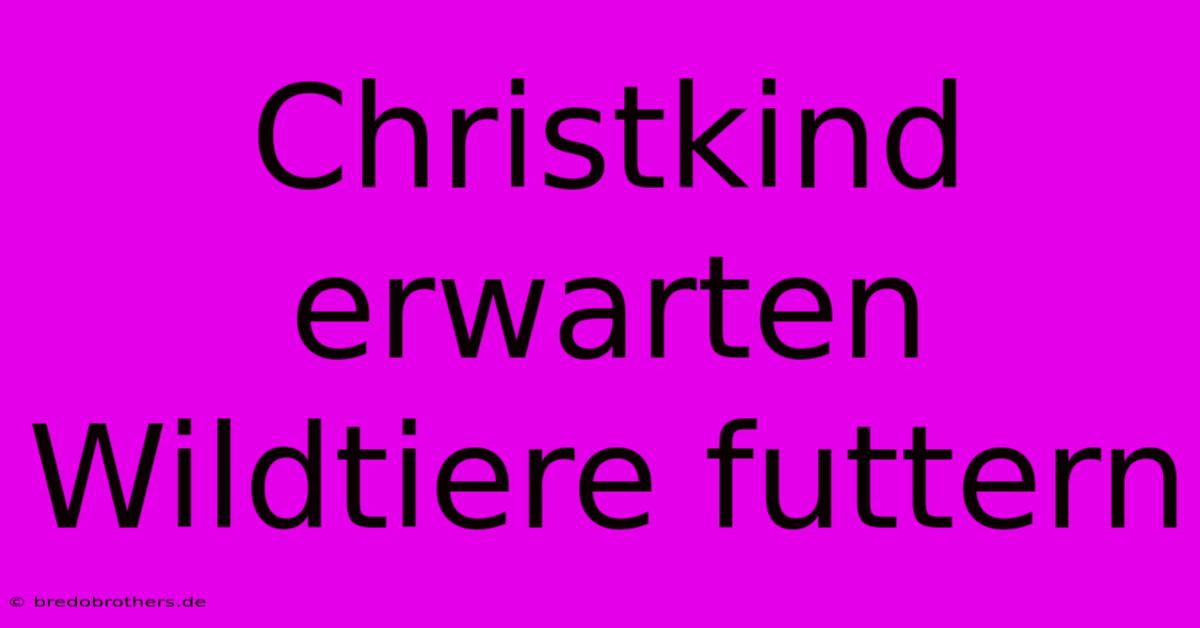 Christkind Erwarten Wildtiere Futtern