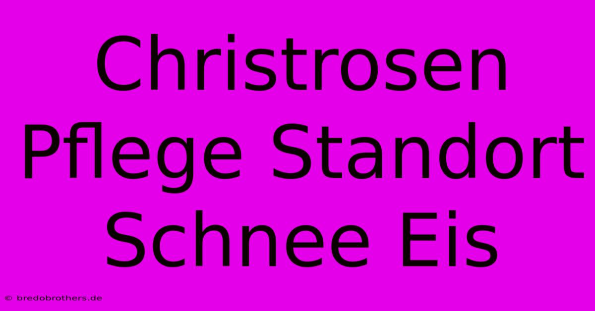 Christrosen Pflege Standort Schnee Eis