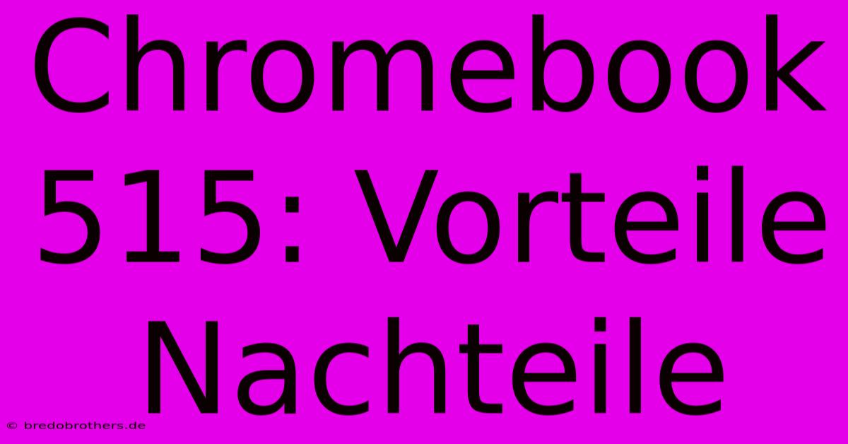 Chromebook 515: Vorteile Nachteile