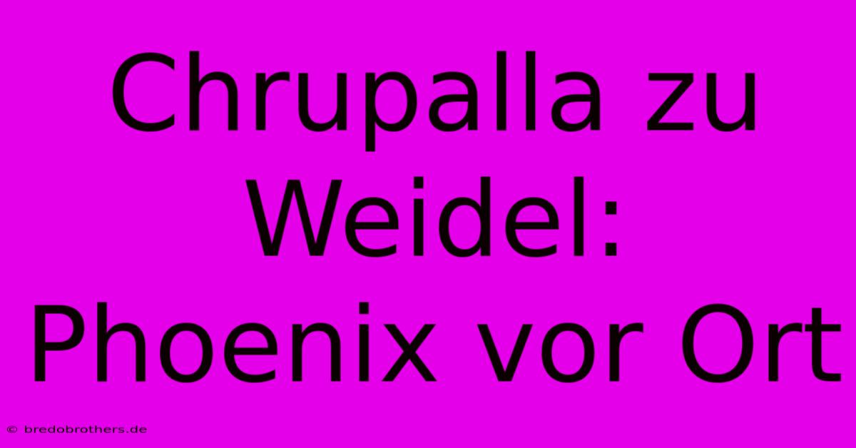 Chrupalla Zu Weidel: Phoenix Vor Ort