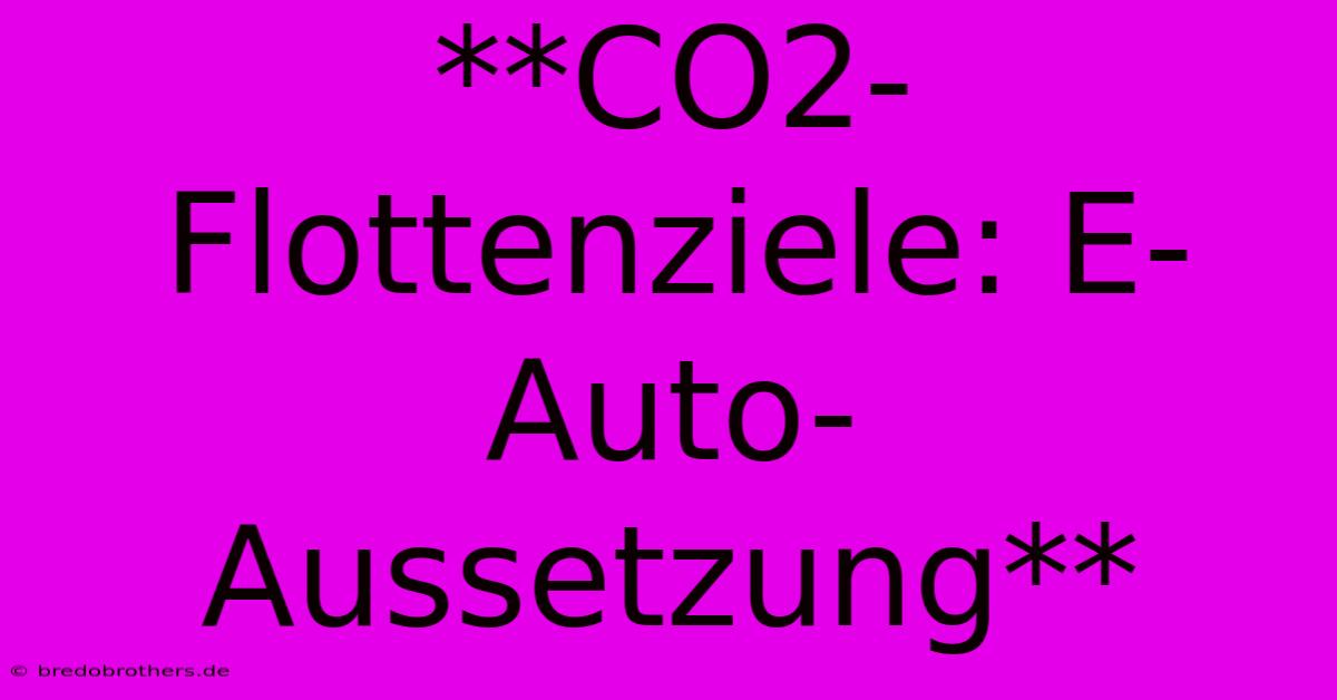 **CO2-Flottenziele: E-Auto-Aussetzung**