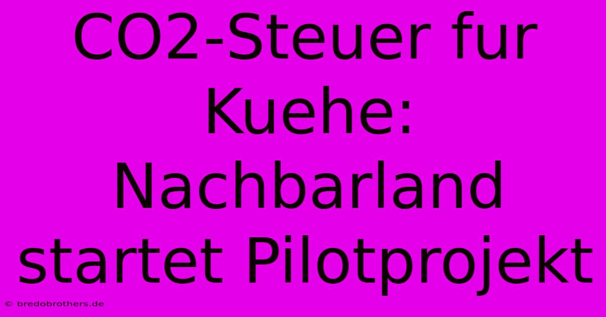 CO2-Steuer Fur Kuehe: Nachbarland Startet Pilotprojekt