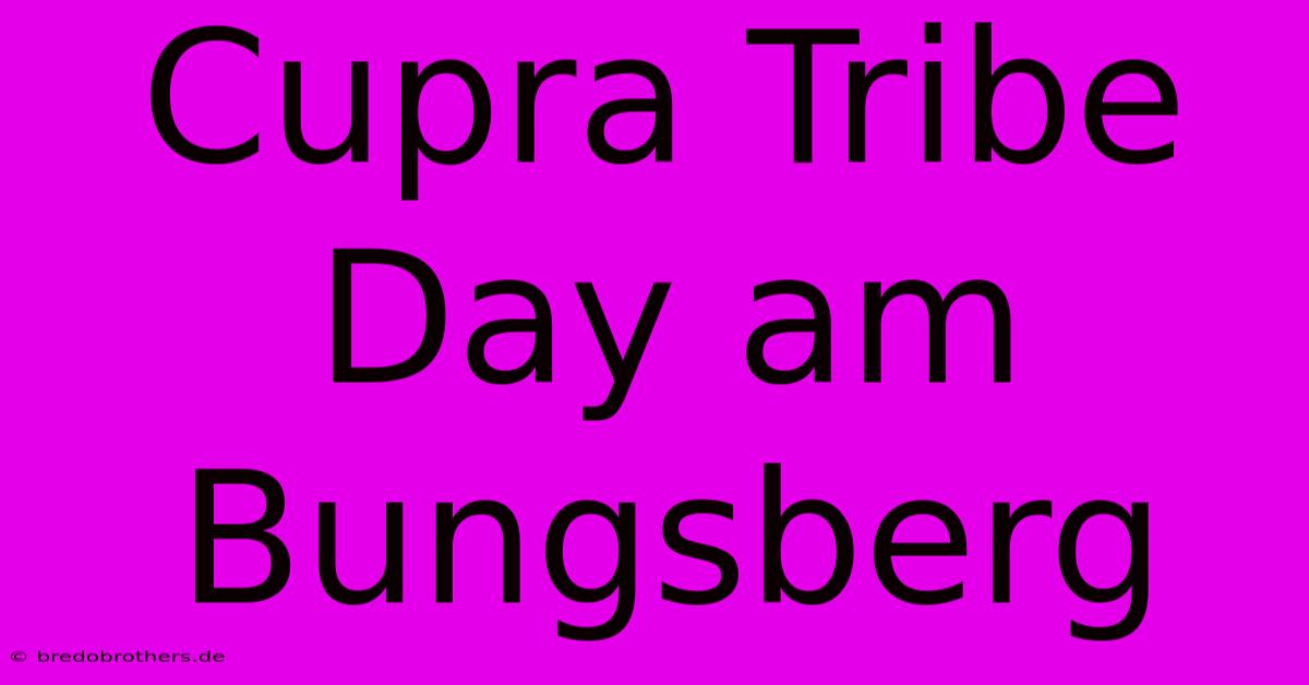 Cupra Tribe Day Am Bungsberg