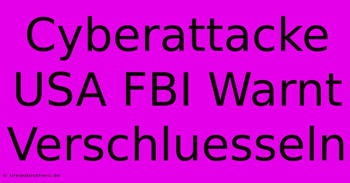 Cyberattacke USA FBI Warnt Verschluesseln